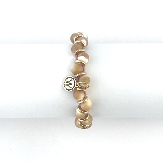 Charmed Trochus Shell | Windsor